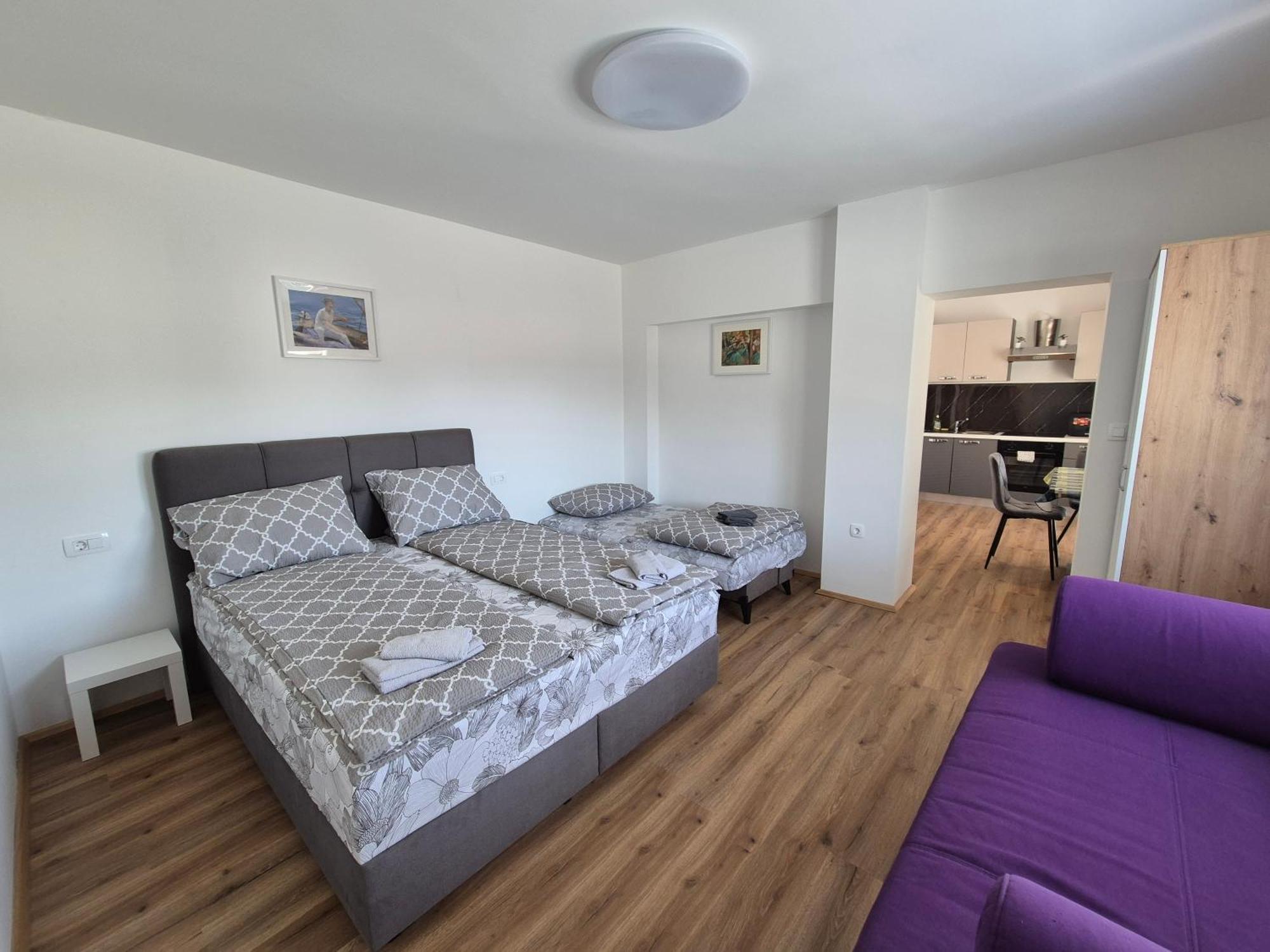 Apartment Vojkova *