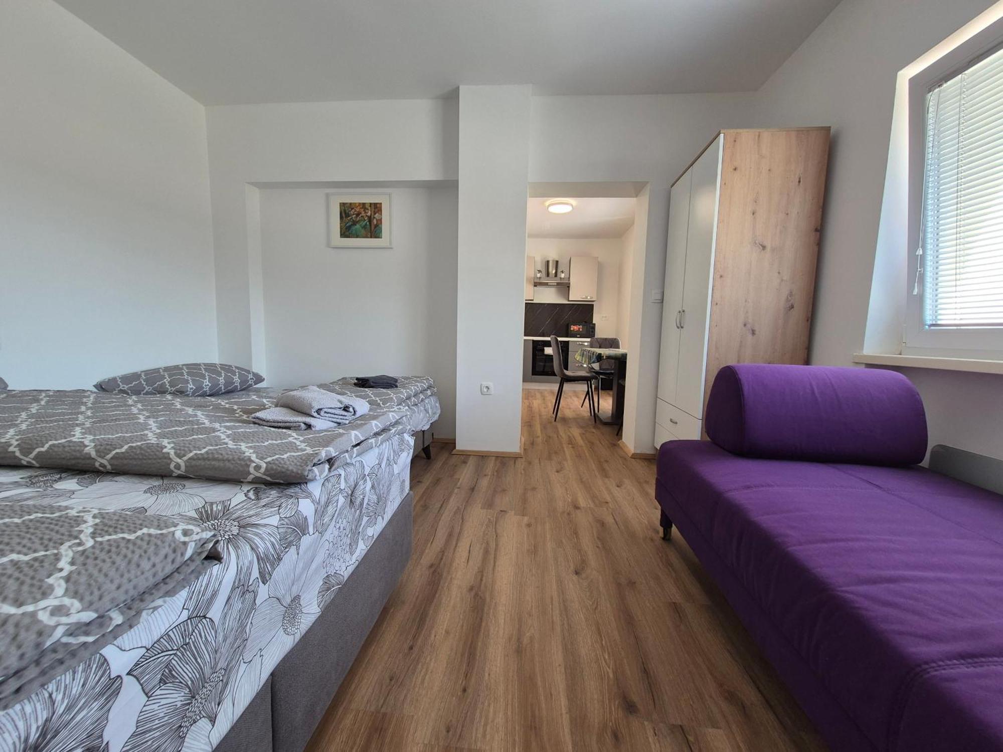 Apartment Vojkova