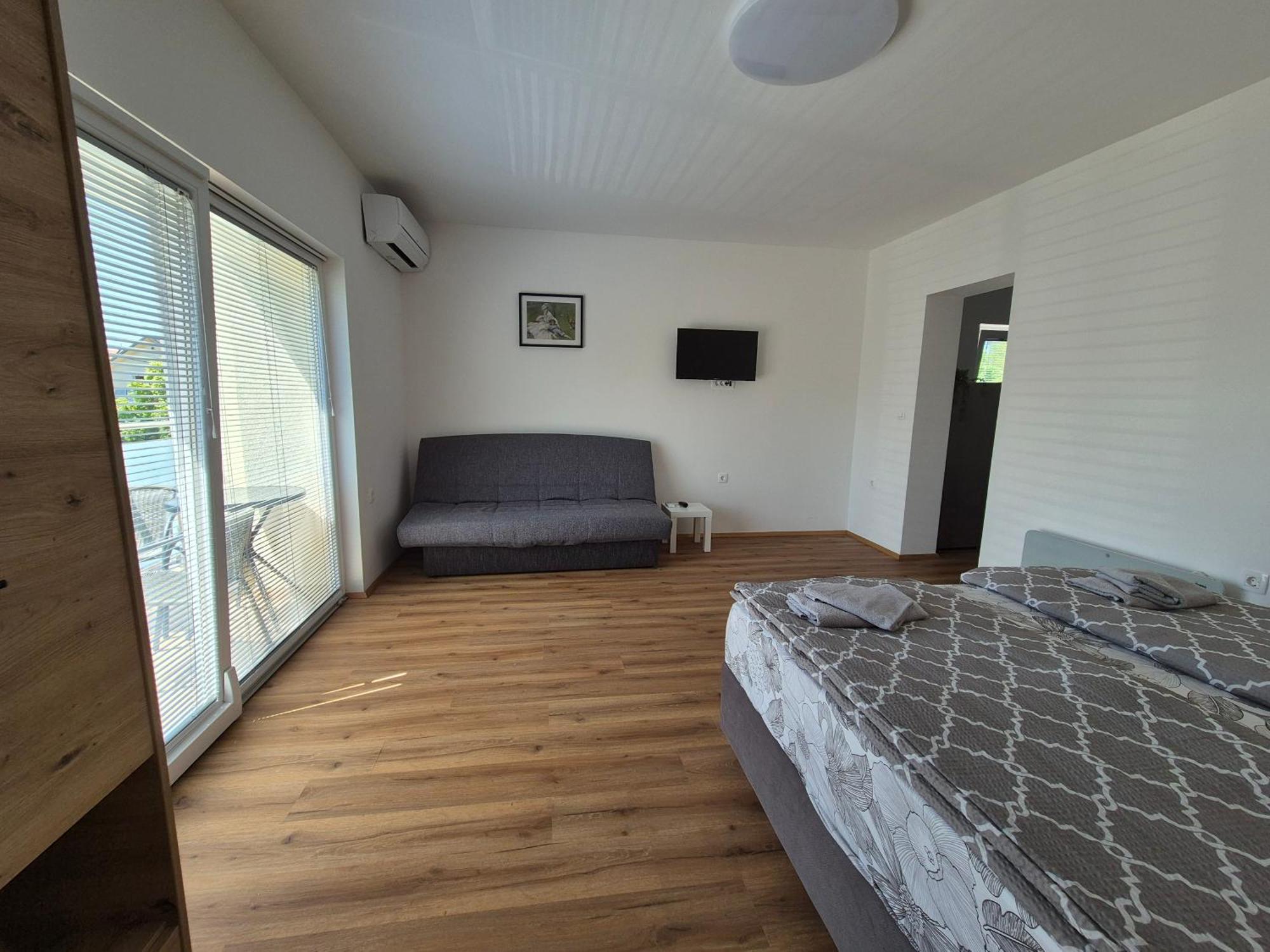 Apartment Vojkova *