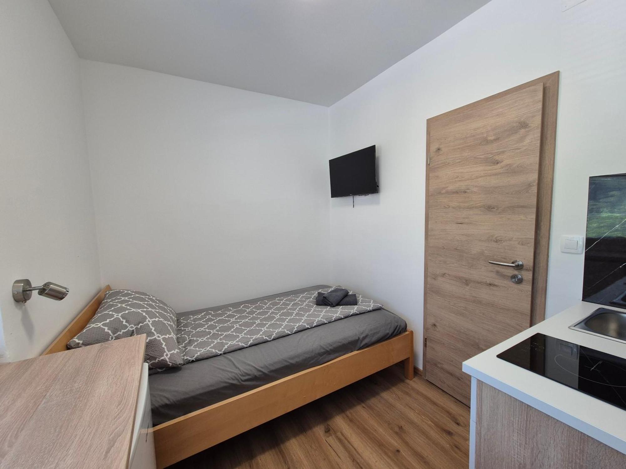 Vojkova Apartment