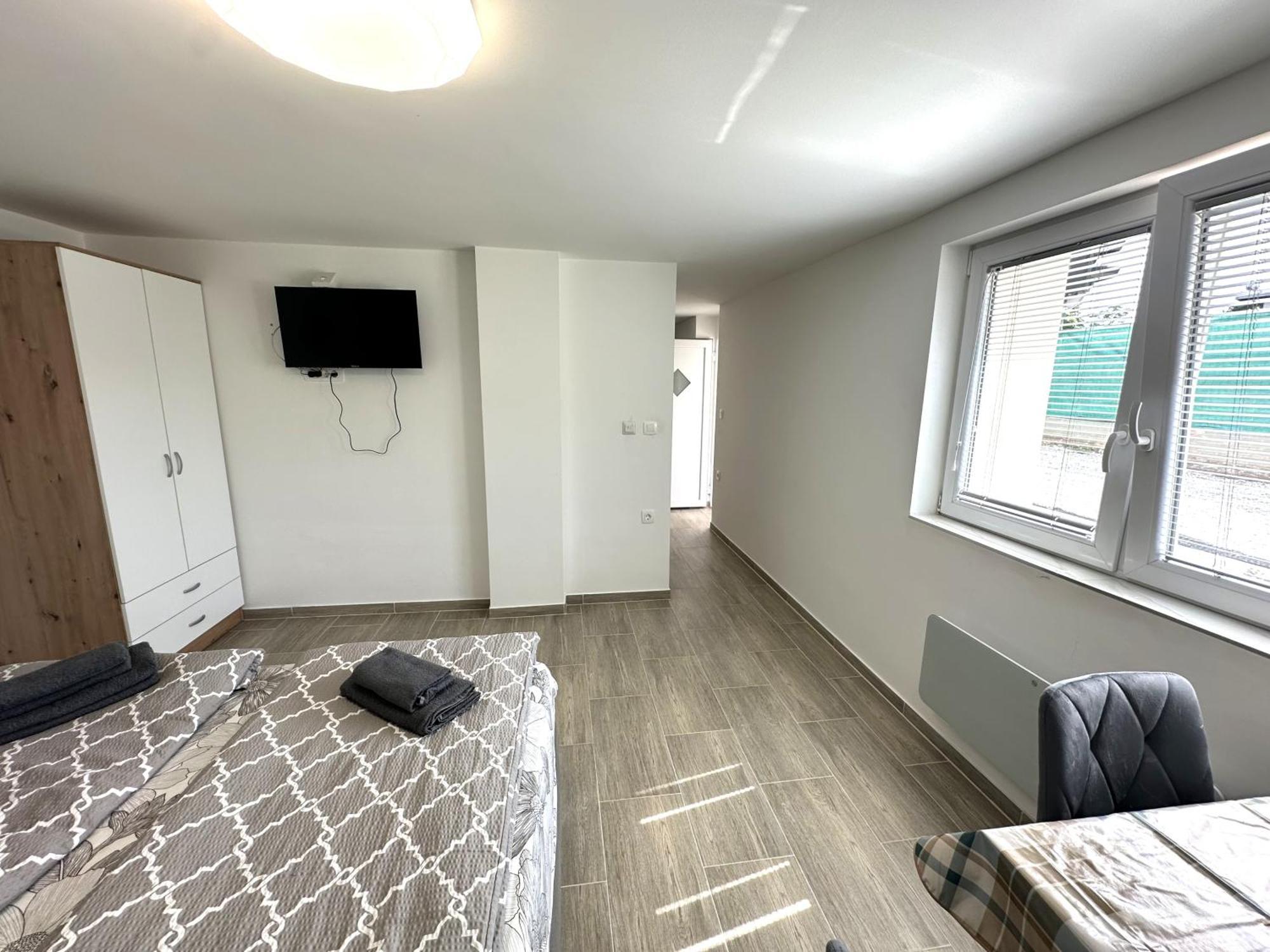 Apartment Vojkova